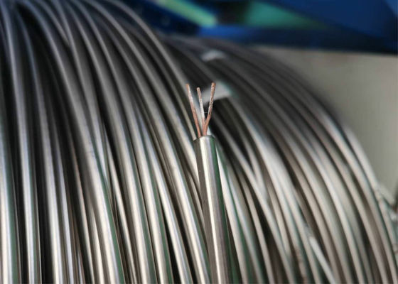 Dobra cena Typ K SS310 MI 3,2-milimetrowy izolowany kabel mineralny do ropy naftowej i gazu w Internecie